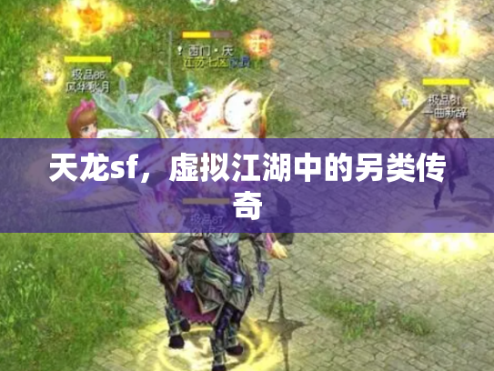 天龙sf，虚拟江湖中的另类传奇