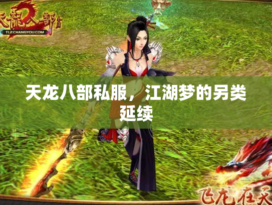 天龙八部私服，江湖梦的另类延续