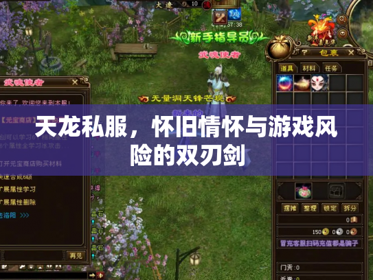 天龙私服，怀旧情怀与游戏风险的双刃剑