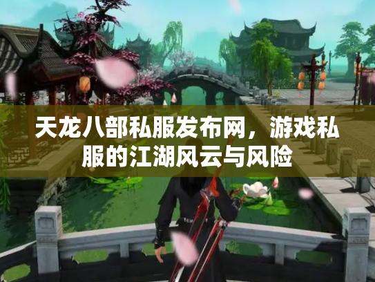 天龙八部私服发布网，游戏私服的江湖风云与风险