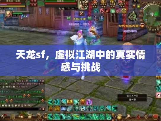 天龙sf，虚拟江湖中的真实情感与挑战