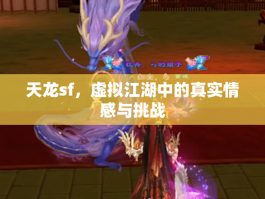 天龙sf，虚拟江湖中的真实情感与挑战