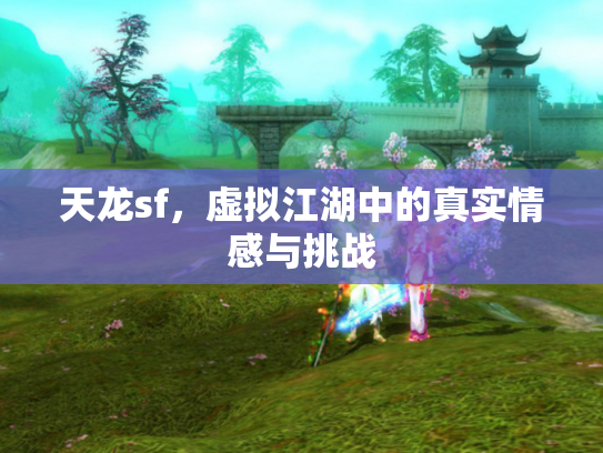 天龙sf，虚拟江湖中的真实情感与挑战