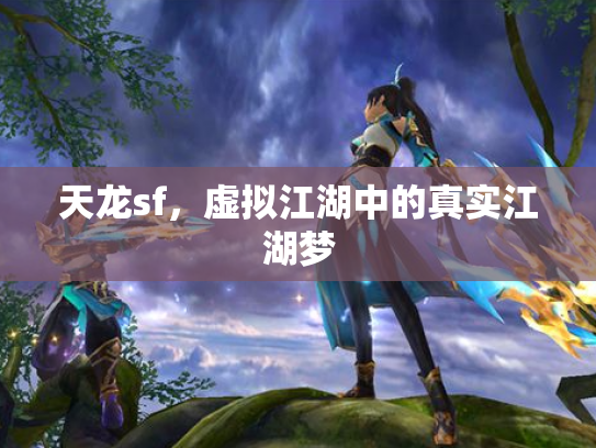 天龙sf，虚拟江湖中的真实江湖梦