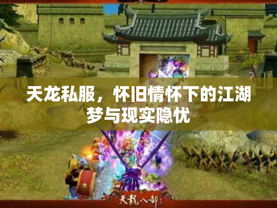 天龙私服，怀旧情怀下的江湖梦与现实隐忧