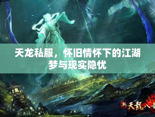 天龙私服，怀旧情怀下的江湖梦与现实隐忧