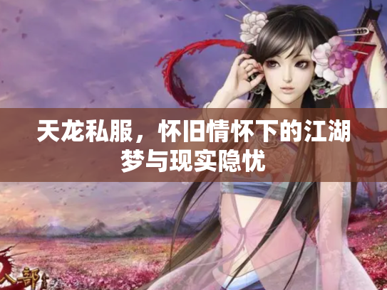天龙私服，怀旧情怀下的江湖梦与现实隐忧
