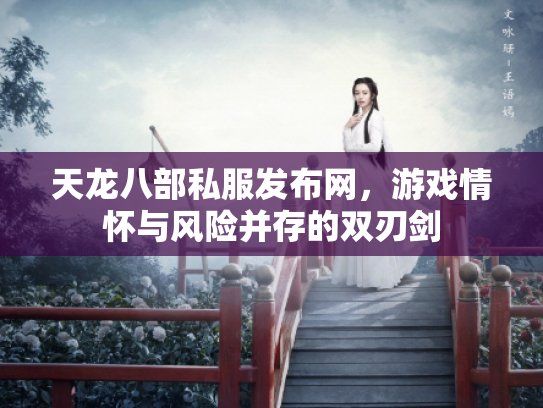 天龙八部私服发布网，游戏情怀与风险并存的双刃剑