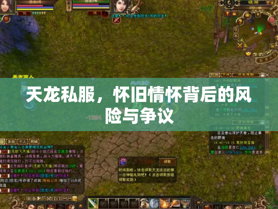 天龙私服，怀旧情怀背后的风险与争议