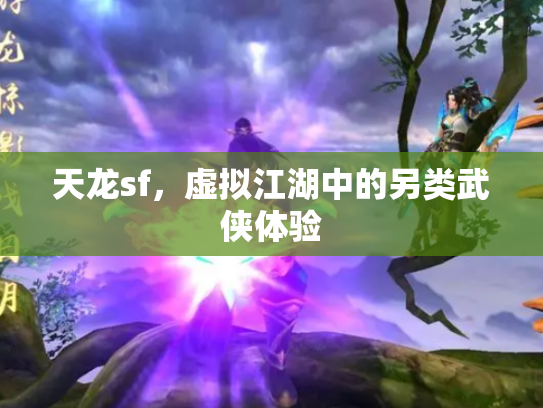 天龙sf，虚拟江湖中的另类武侠体验