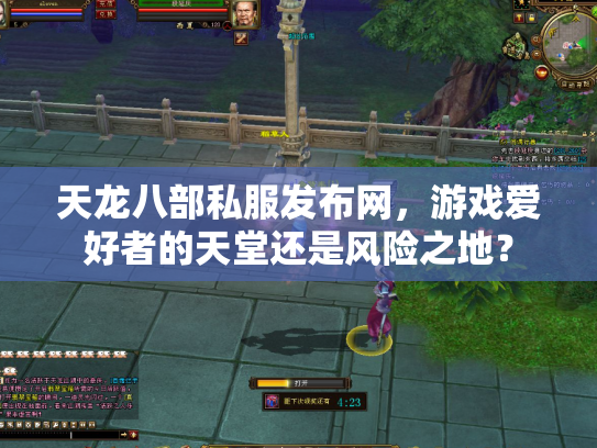 天龙八部私服发布网，游戏爱好者的天堂还是风险之地？