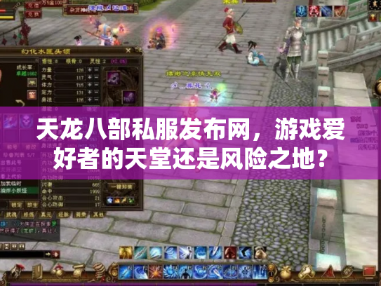 天龙八部私服发布网，游戏爱好者的天堂还是风险之地？