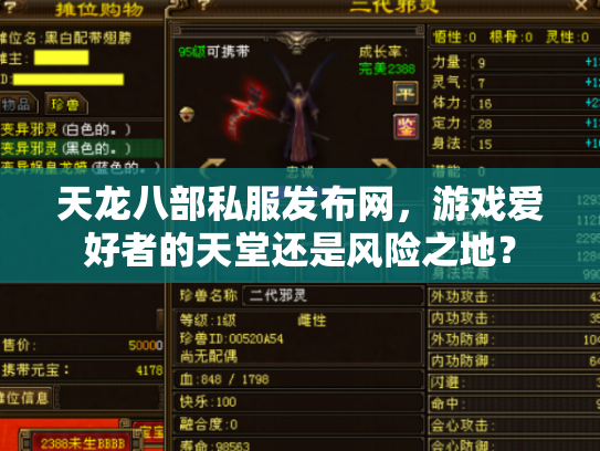 天龙八部私服发布网，游戏爱好者的天堂还是风险之地？