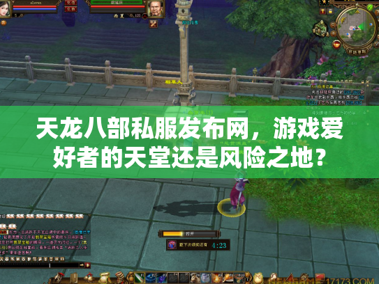 天龙八部私服发布网，游戏爱好者的天堂还是风险之地？