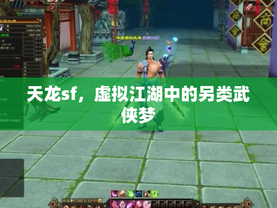 天龙sf，虚拟江湖中的另类武侠梦