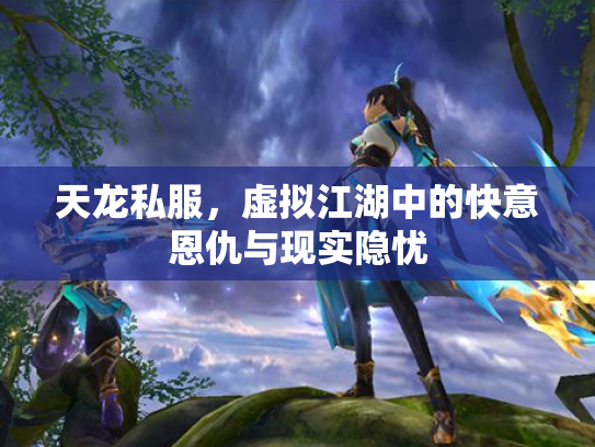 天龙私服，虚拟江湖中的快意恩仇与现实隐忧