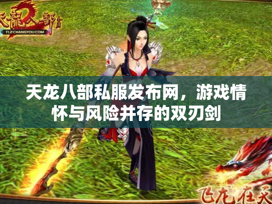 天龙八部私服发布网，游戏情怀与风险并存的双刃剑