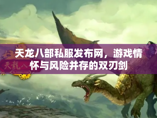 天龙八部私服发布网，游戏情怀与风险并存的双刃剑