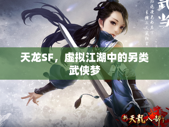 天龙SF，虚拟江湖中的另类武侠梦