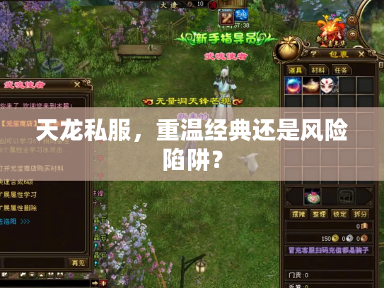 天龙私服，重温经典还是风险陷阱？