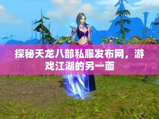 探秘天龙八部私服发布网，游戏江湖的另一面