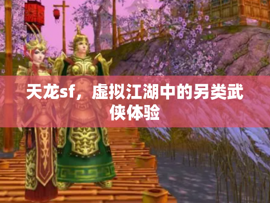 天龙sf，虚拟江湖中的另类武侠体验