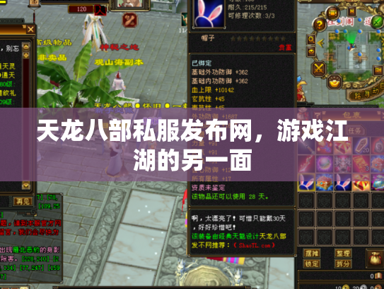 天龙八部私服发布网，游戏江湖的另一面
