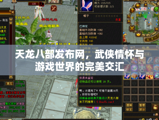 天龙八部发布网，武侠情怀与游戏世界的完美交汇
