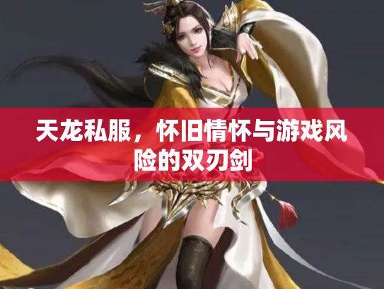 天龙私服，怀旧情怀与游戏风险的双刃剑
