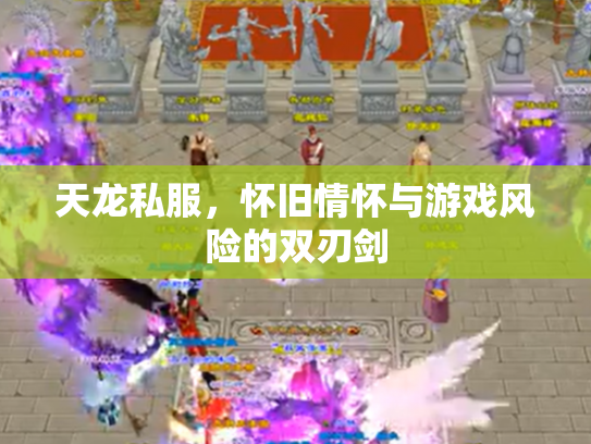 天龙私服，怀旧情怀与游戏风险的双刃剑