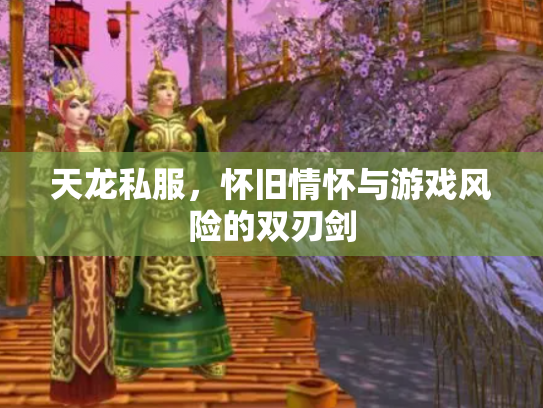 天龙私服，怀旧情怀与游戏风险的双刃剑