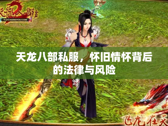 天龙八部私服，怀旧情怀背后的法律与风险