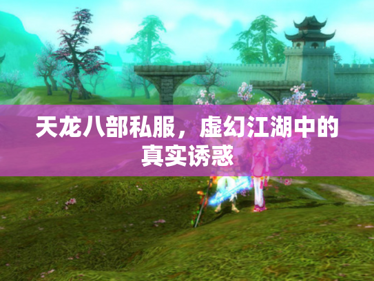 天龙八部私服，虚幻江湖中的真实诱惑