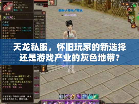 天龙私服，怀旧玩家的新选择还是游戏产业的灰色地带？