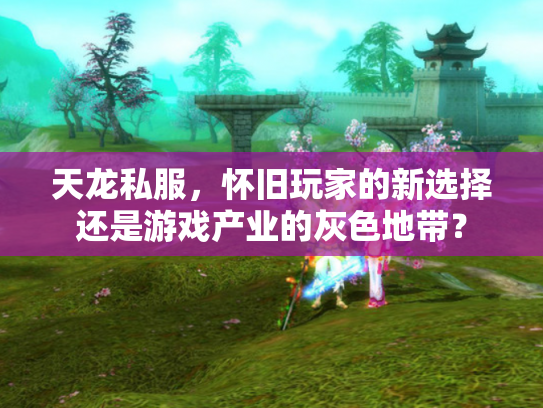 天龙私服，怀旧玩家的新选择还是游戏产业的灰色地带？