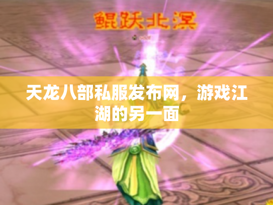 天龙八部私服发布网，游戏江湖的另一面
