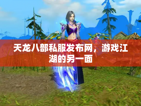 天龙八部私服发布网，游戏江湖的另一面