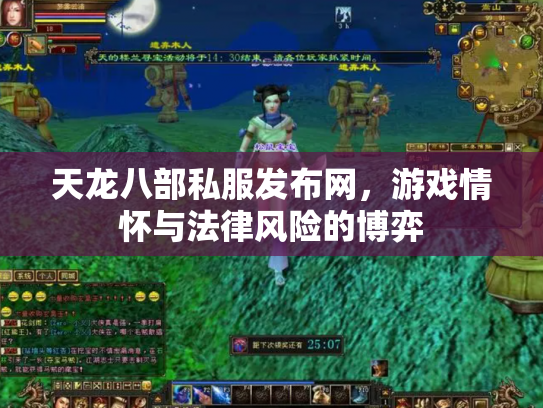 天龙八部私服发布网，游戏情怀与法律风险的博弈