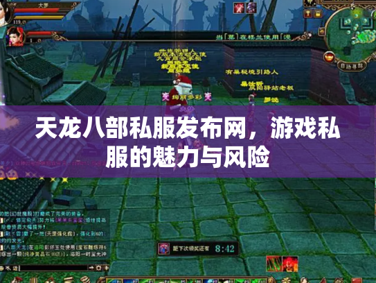 天龙八部私服发布网，游戏私服的魅力与风险