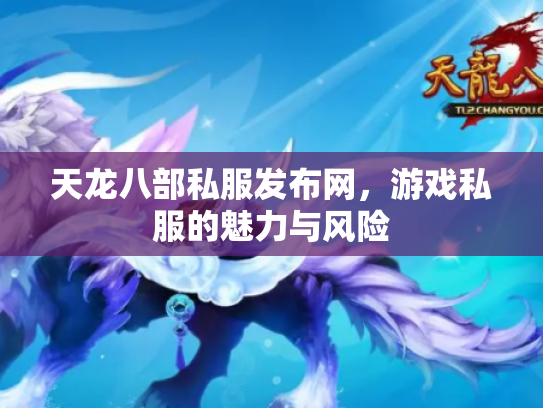 天龙八部私服发布网，游戏私服的魅力与风险