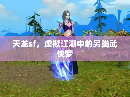 天龙sf，虚拟江湖中的另类武侠梦