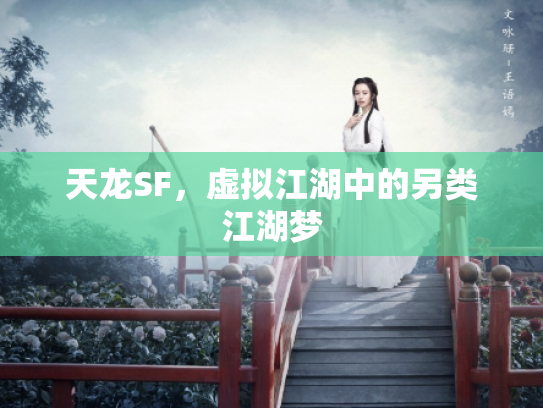 天龙SF，虚拟江湖中的另类江湖梦