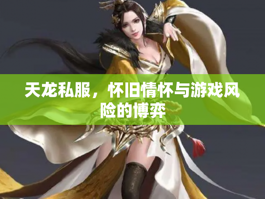 天龙私服，怀旧情怀与游戏风险的博弈