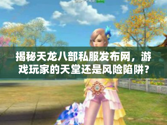 揭秘天龙八部私服发布网，游戏玩家的天堂还是风险陷阱？
