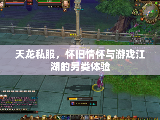 天龙私服，怀旧情怀与游戏江湖的另类体验
