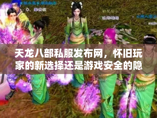 天龙八部私服发布网，怀旧玩家的新选择还是游戏安全的隐患？
