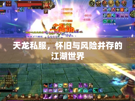天龙私服，怀旧与风险并存的江湖世界
