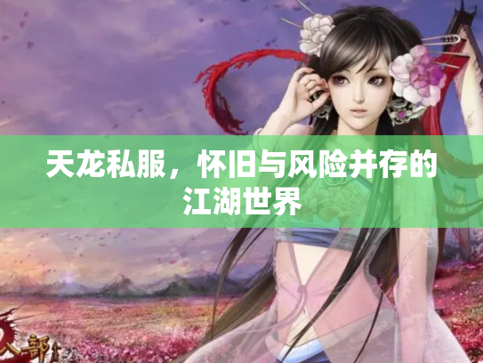 天龙私服，怀旧与风险并存的江湖世界
