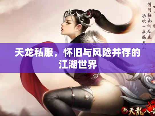 天龙私服，怀旧与风险并存的江湖世界
