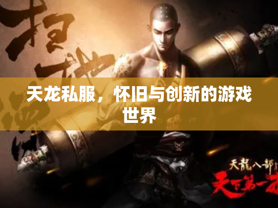 天龙私服，怀旧与创新的游戏世界